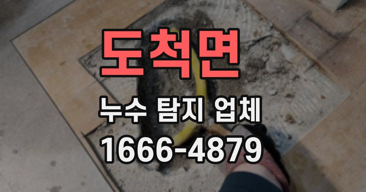 도척면 누수 탐지 업체