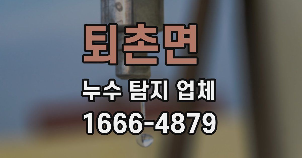 퇴촌면 누수 탐지 업체
