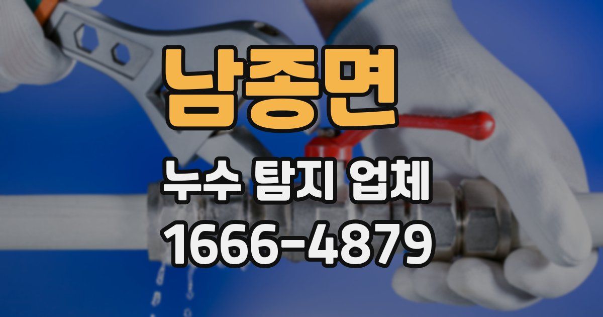 남종면 누수 탐지 업체