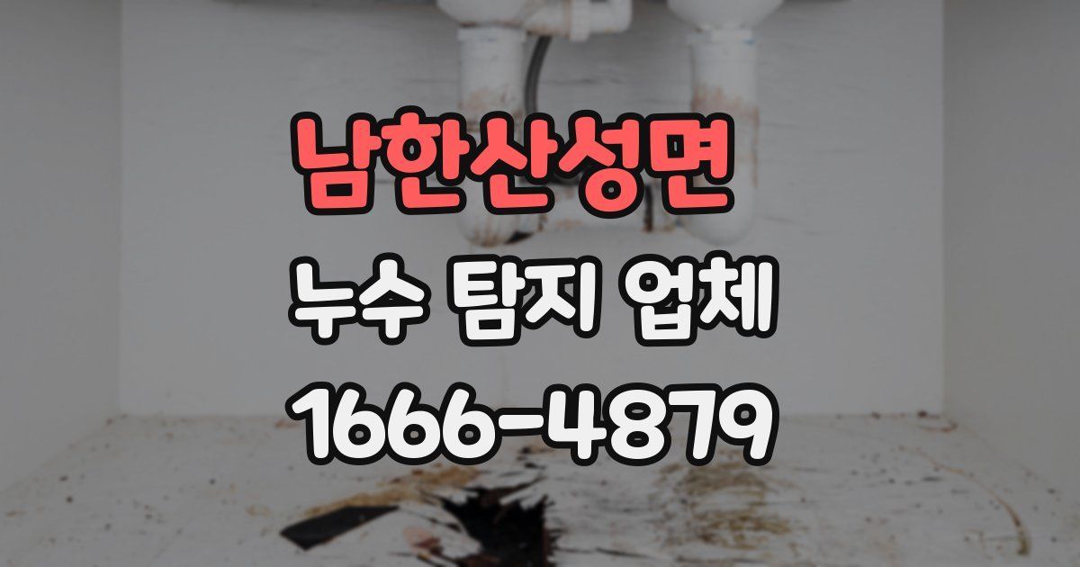 남한산성면 누수 탐지 업체
