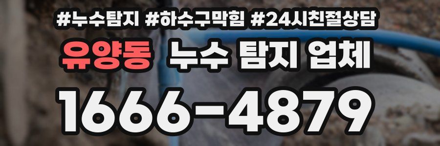 유양동 누수 탐지 업체