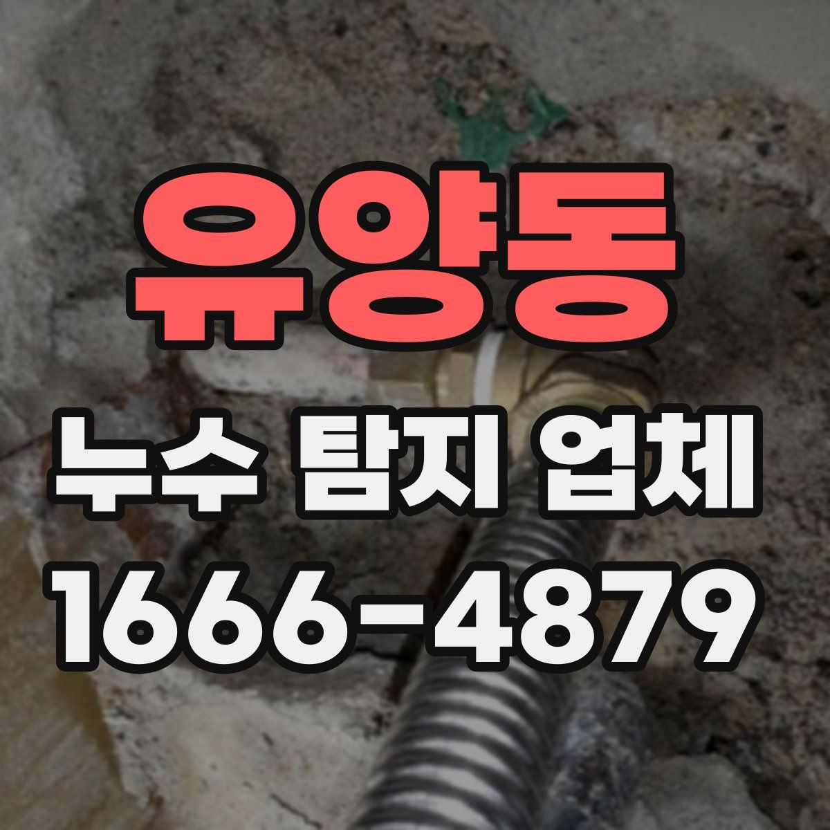 유양동 누수 탐지 업체