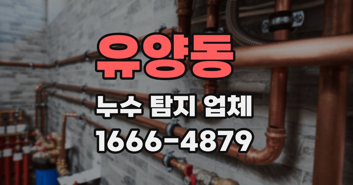 유양동 누수 탐지 업체