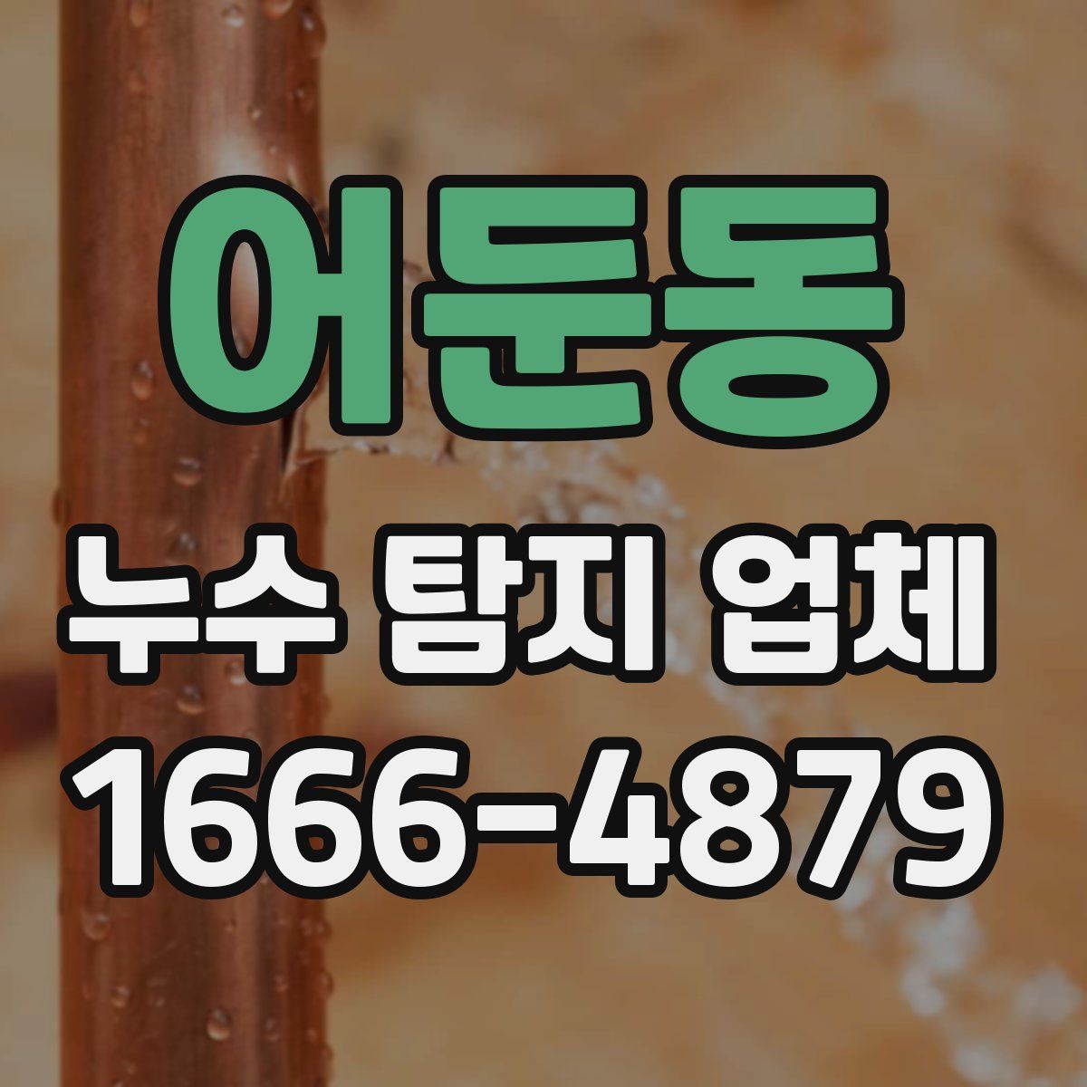 어둔동 누수 탐지 업체