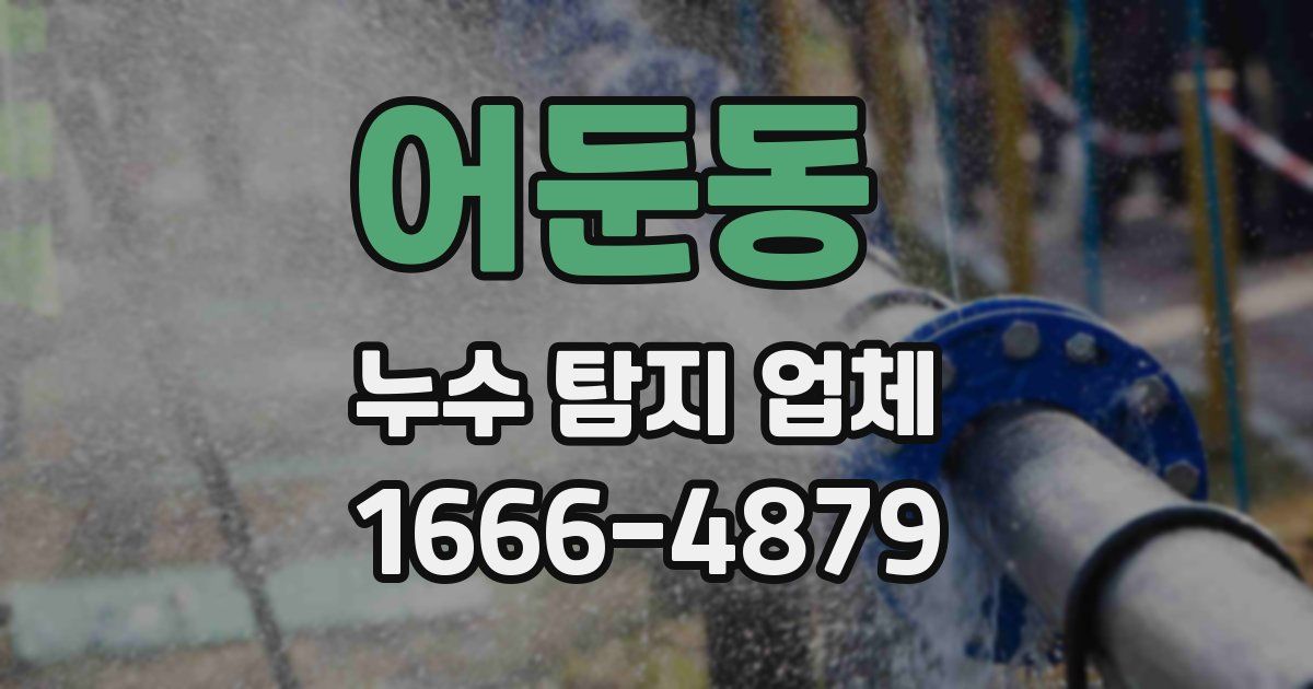 어둔동 누수 탐지 업체