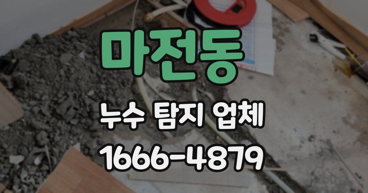마전동 누수 탐지 업체