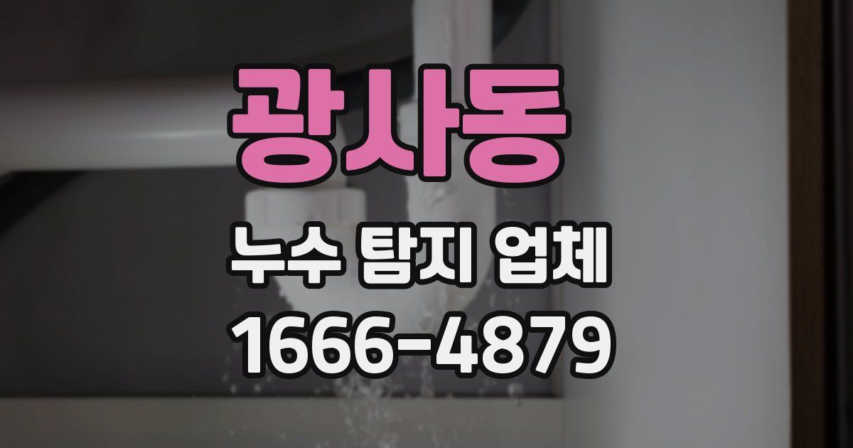 광사동 누수 탐지 업체