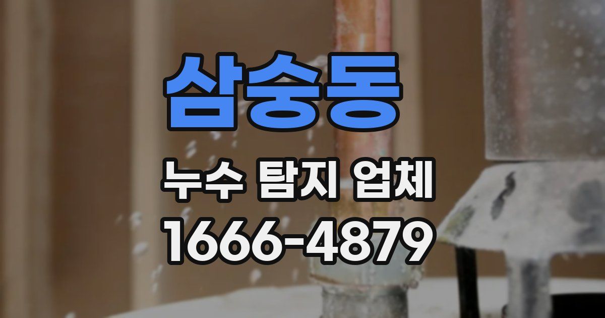 삼숭동 누수 탐지 업체