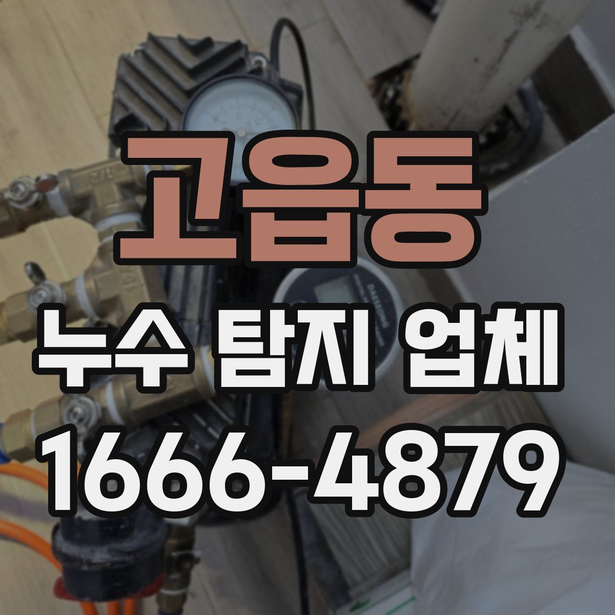 고읍동 누수 탐지 업체