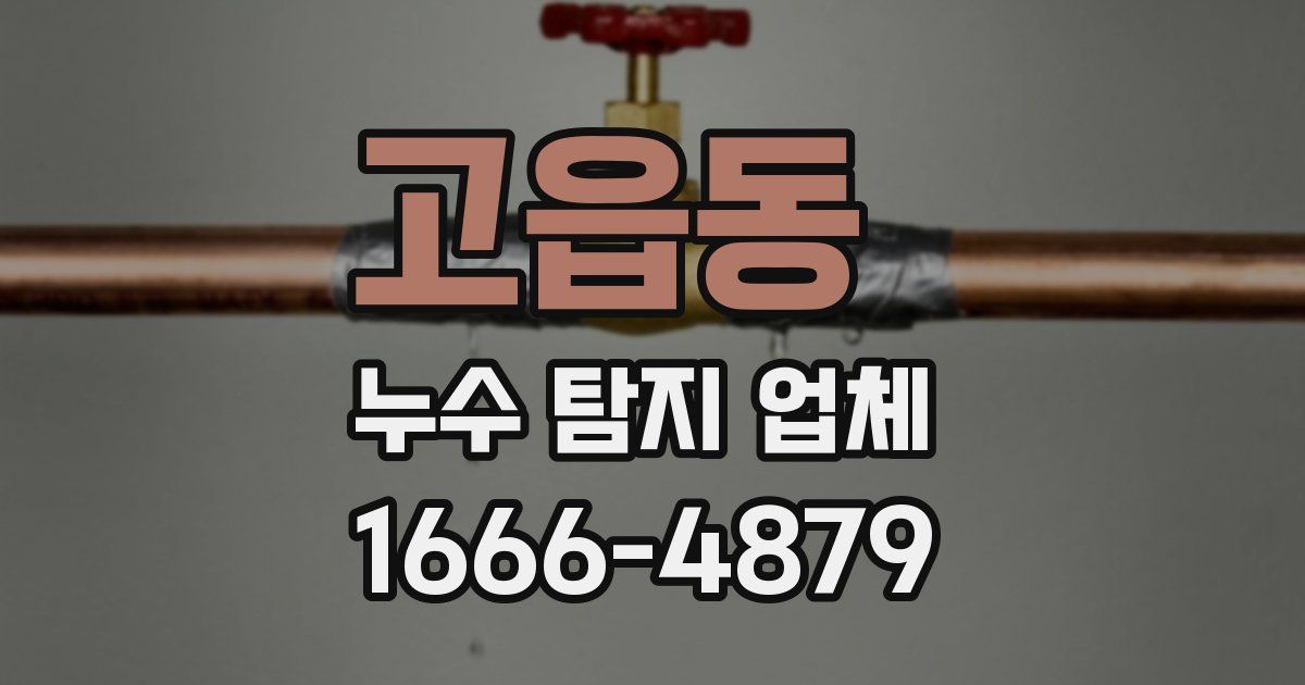 고읍동 누수 탐지 업체