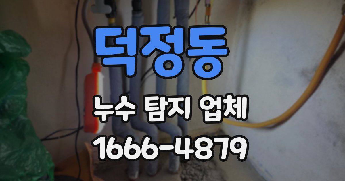 덕정동 누수 탐지 업체