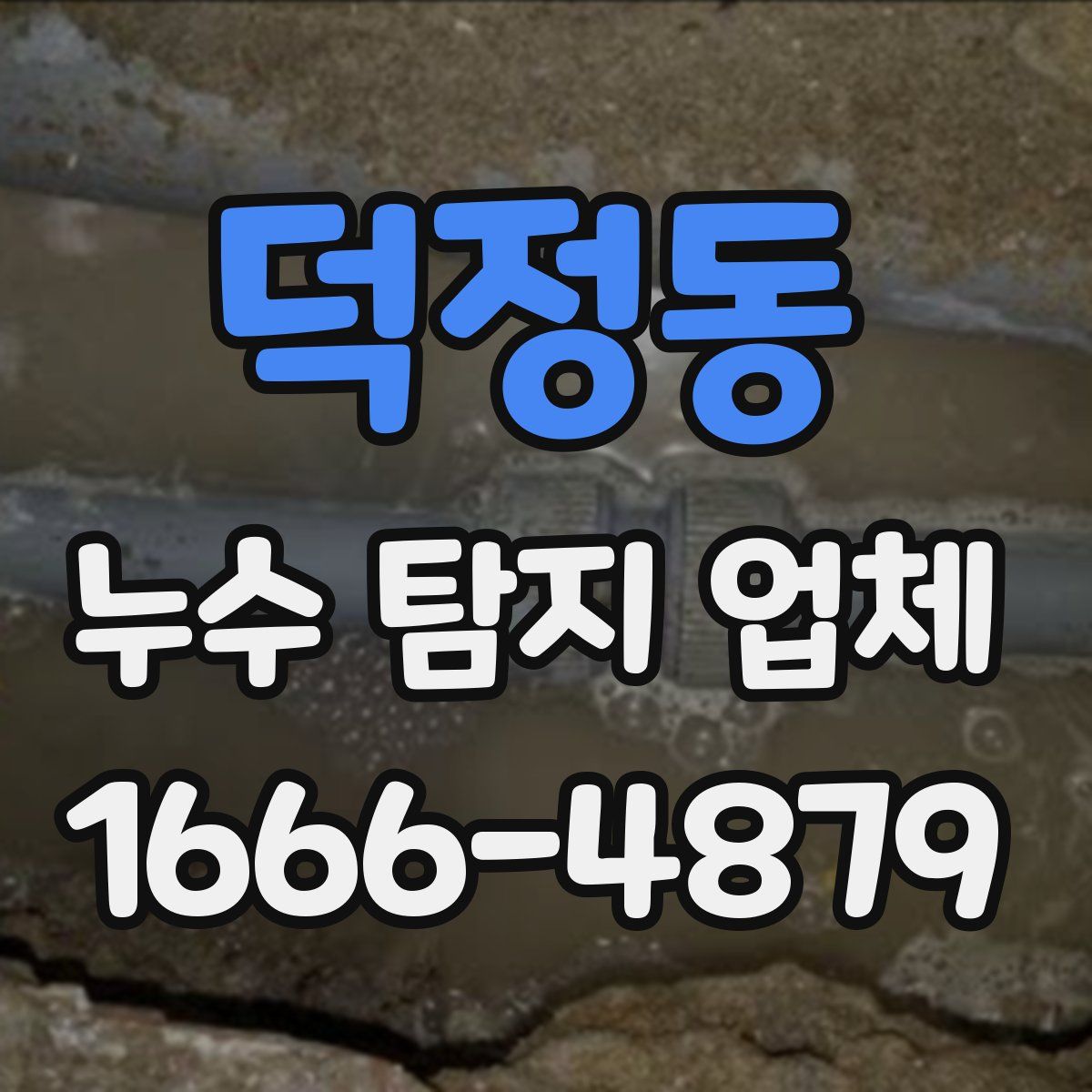 덕정동 누수 탐지 업체
