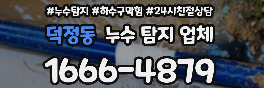 덕정동 누수 탐지 업체
