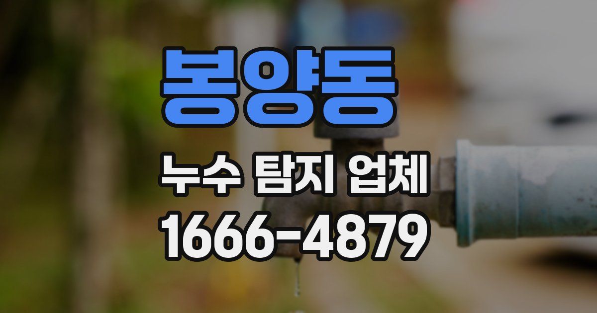 봉양동 누수 탐지 업체
