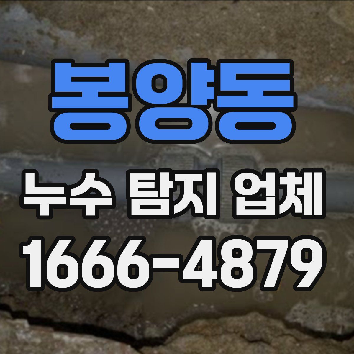 봉양동 누수 탐지 업체
