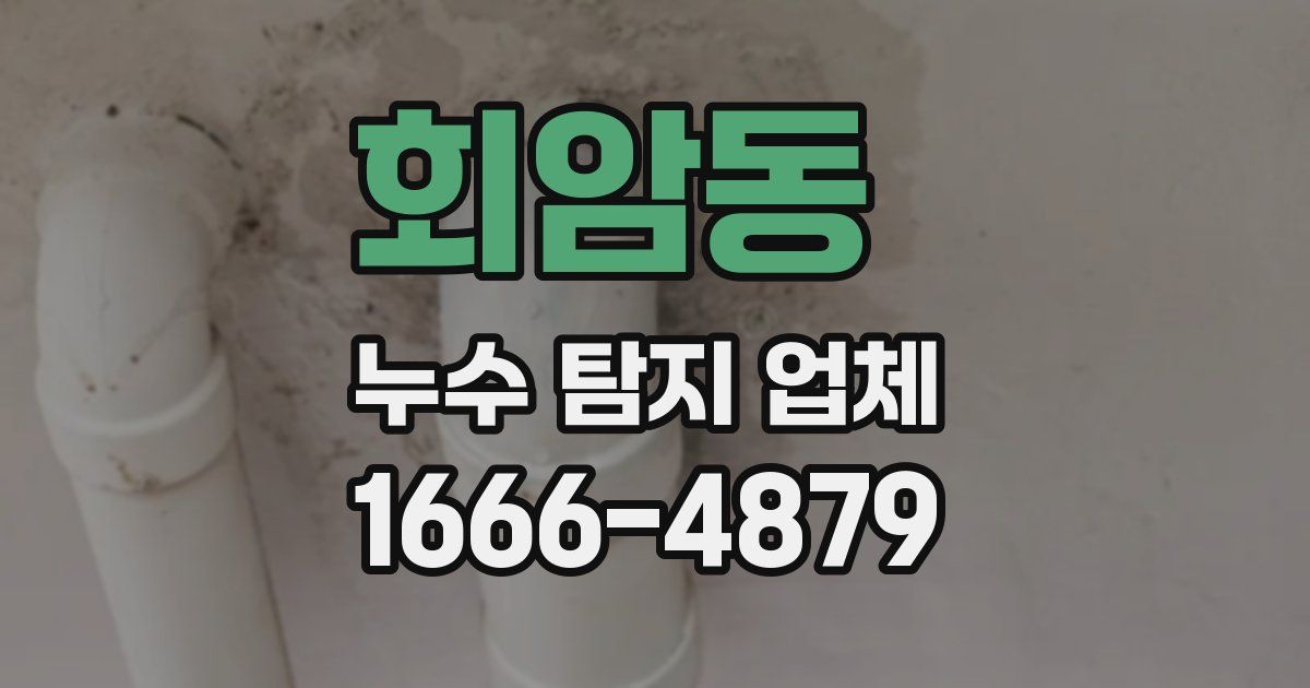 회암동 누수 탐지 업체