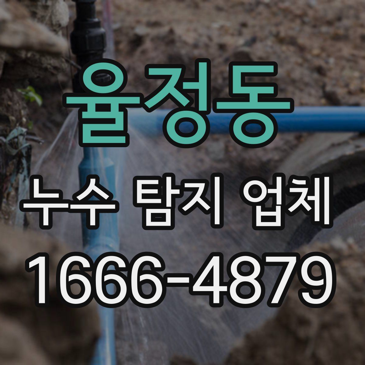 율정동 누수 탐지 업체