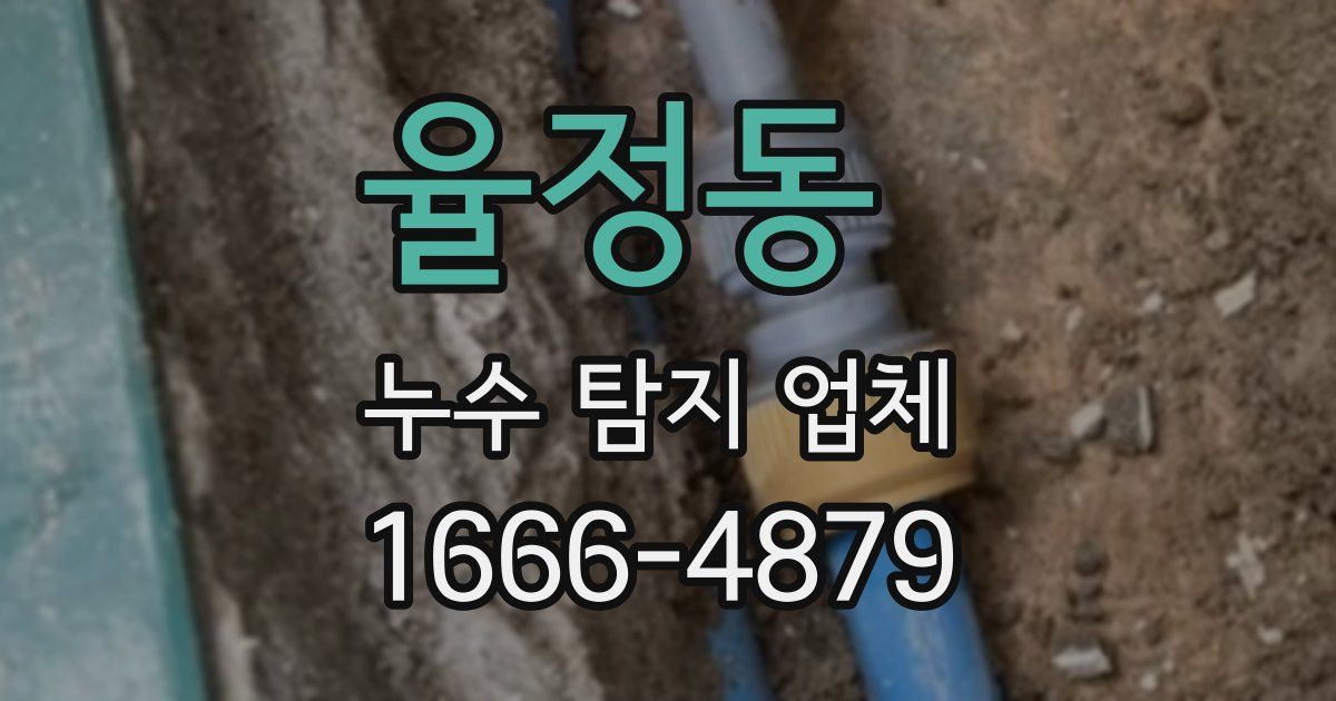 율정동 누수 탐지 업체