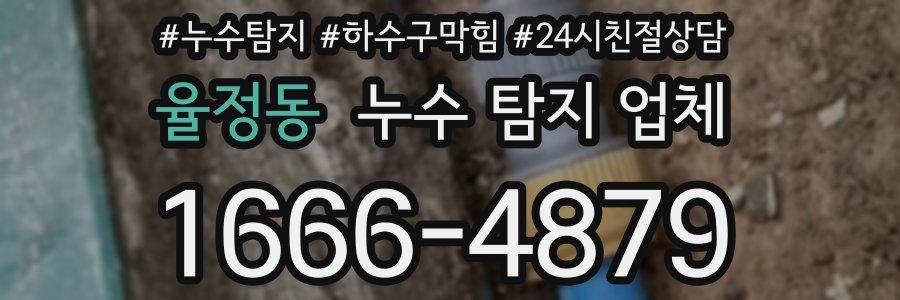 율정동 누수 탐지 업체