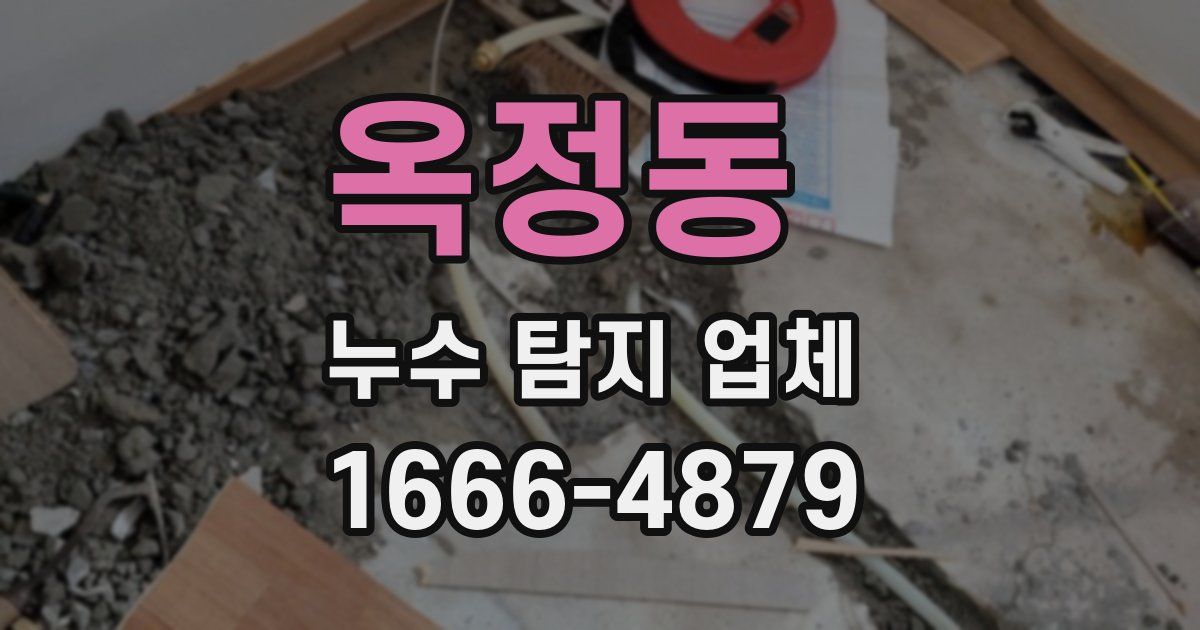 옥정동 누수 탐지 업체
