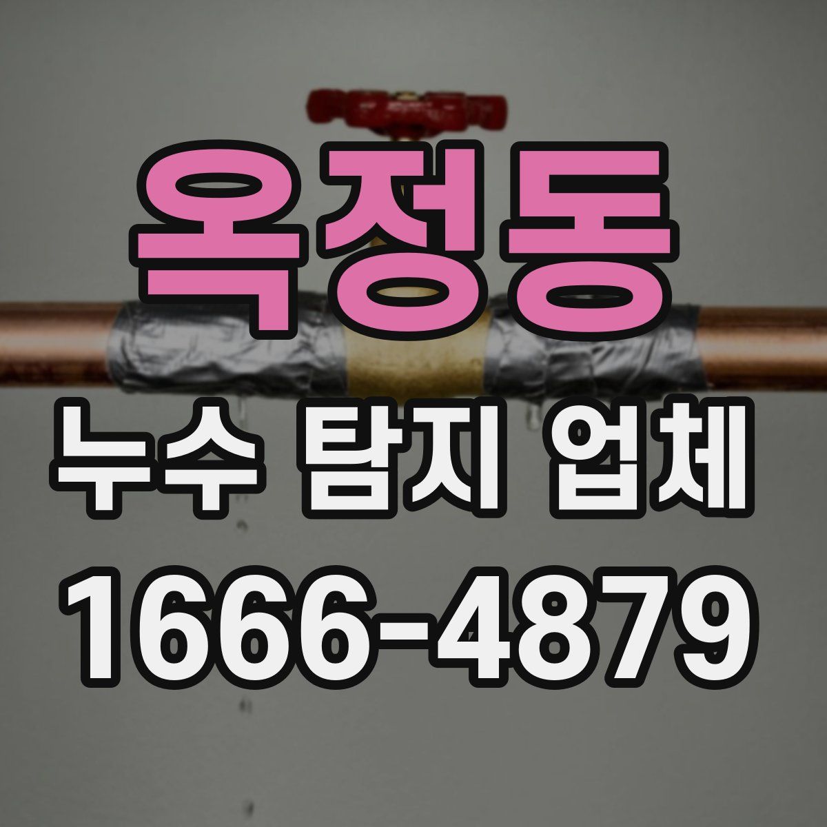 옥정동 누수 탐지 업체