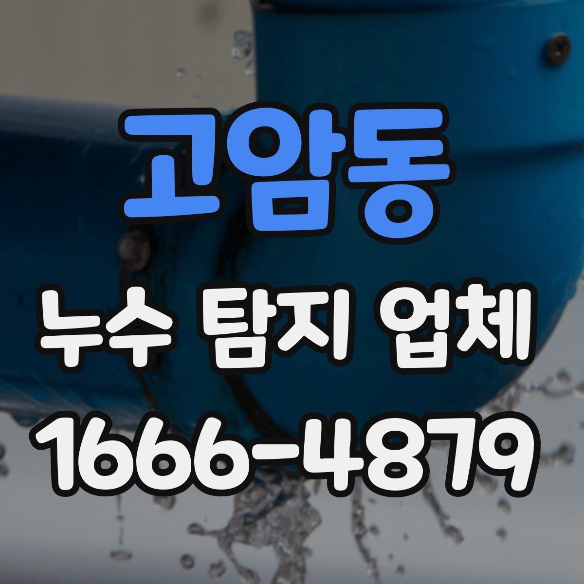 고암동 누수 탐지 업체