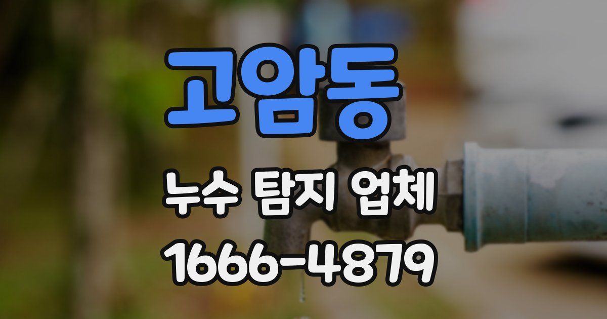 고암동 누수 탐지 업체