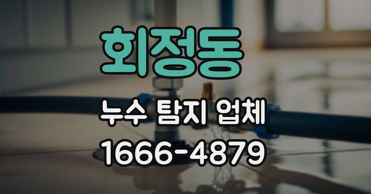 회정동 누수 탐지 업체