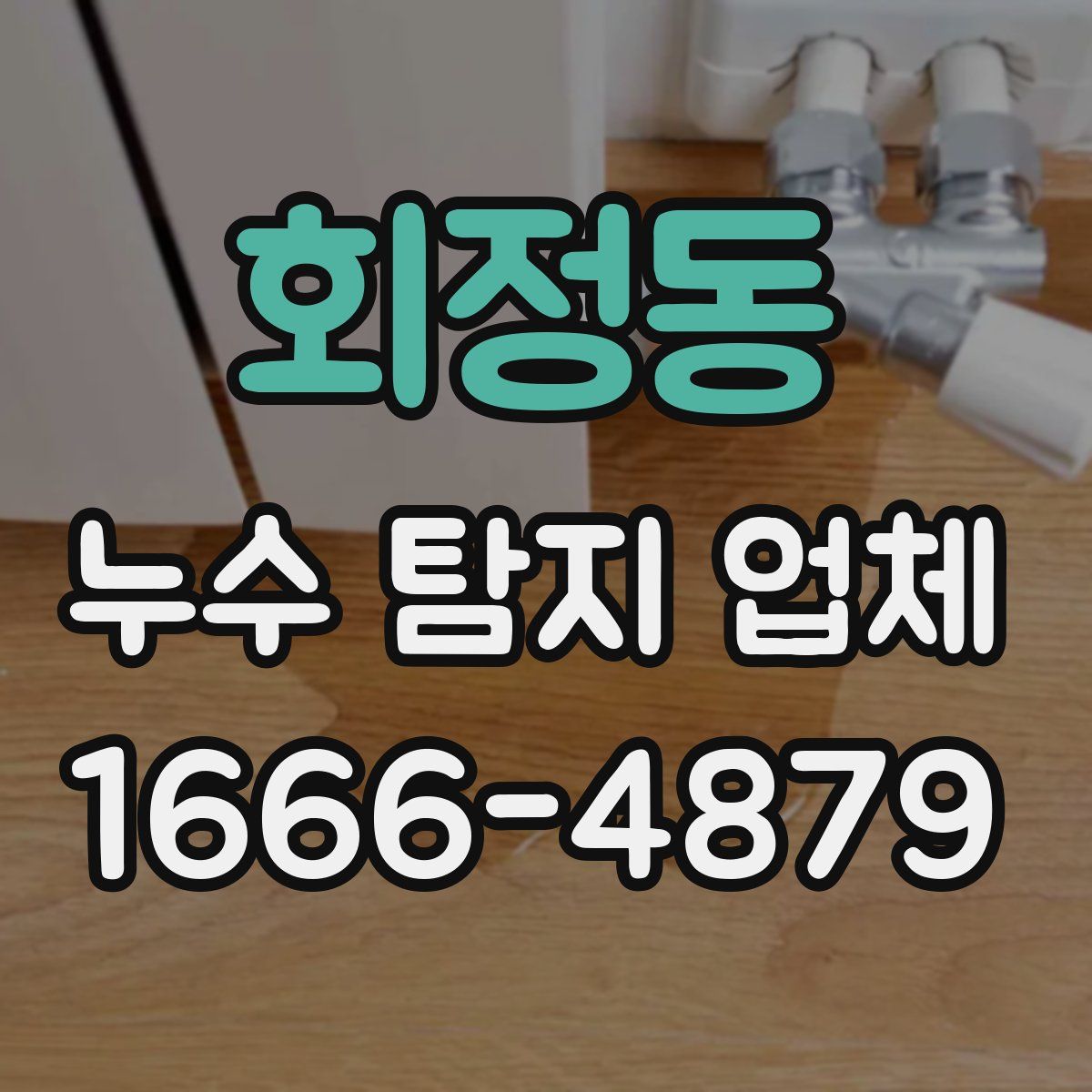 회정동 누수 탐지 업체