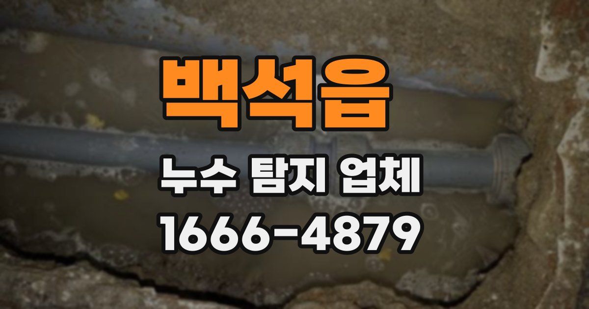 백석읍 누수 탐지 업체