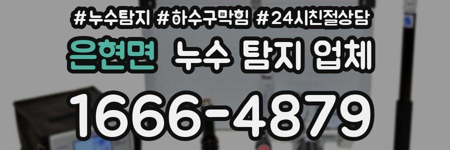 은현면 누수 탐지 업체
