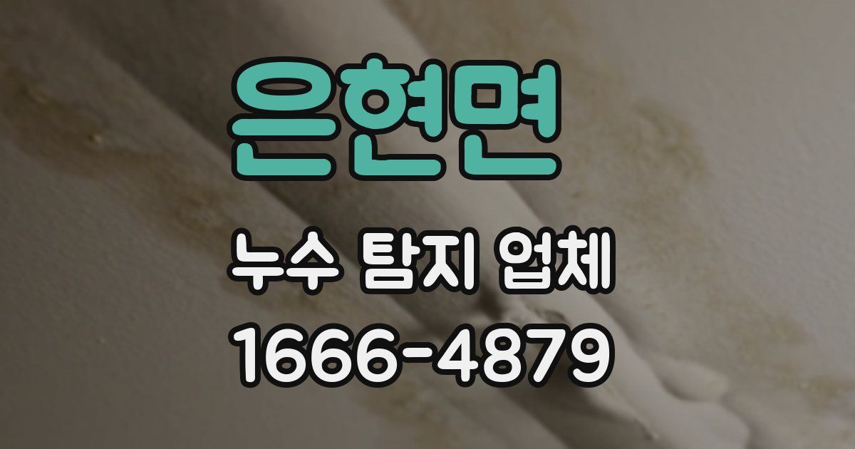 은현면 누수 탐지 업체