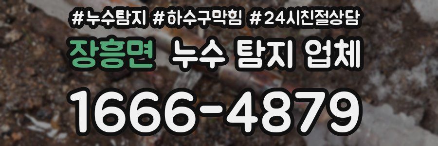 장흥면 누수 탐지 업체