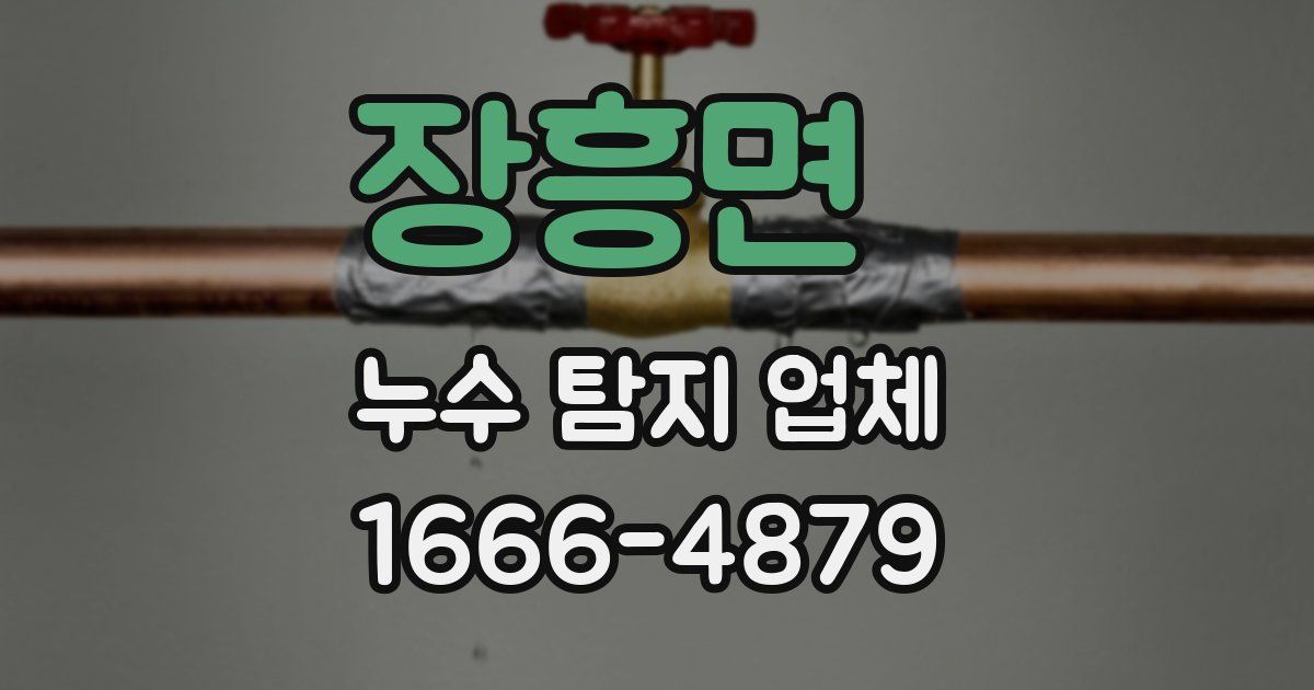 장흥면 누수 탐지 업체