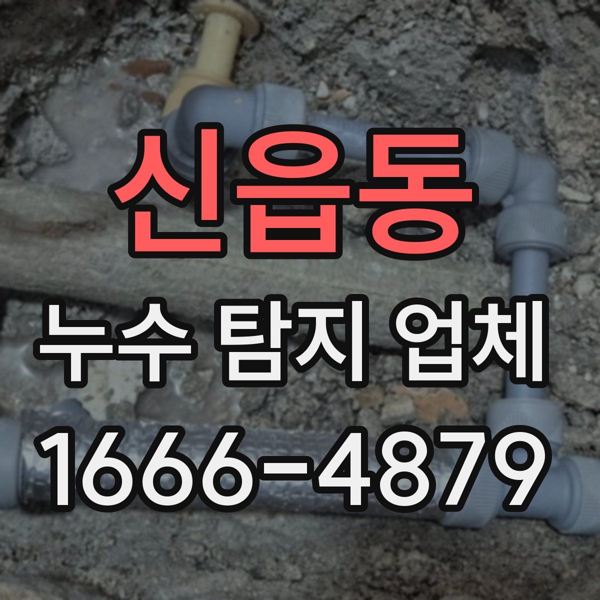 신읍동 누수 탐지 업체