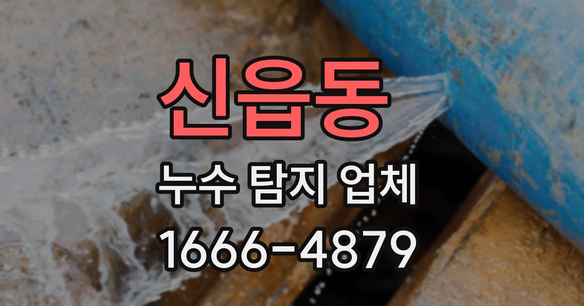 신읍동 누수 탐지 업체