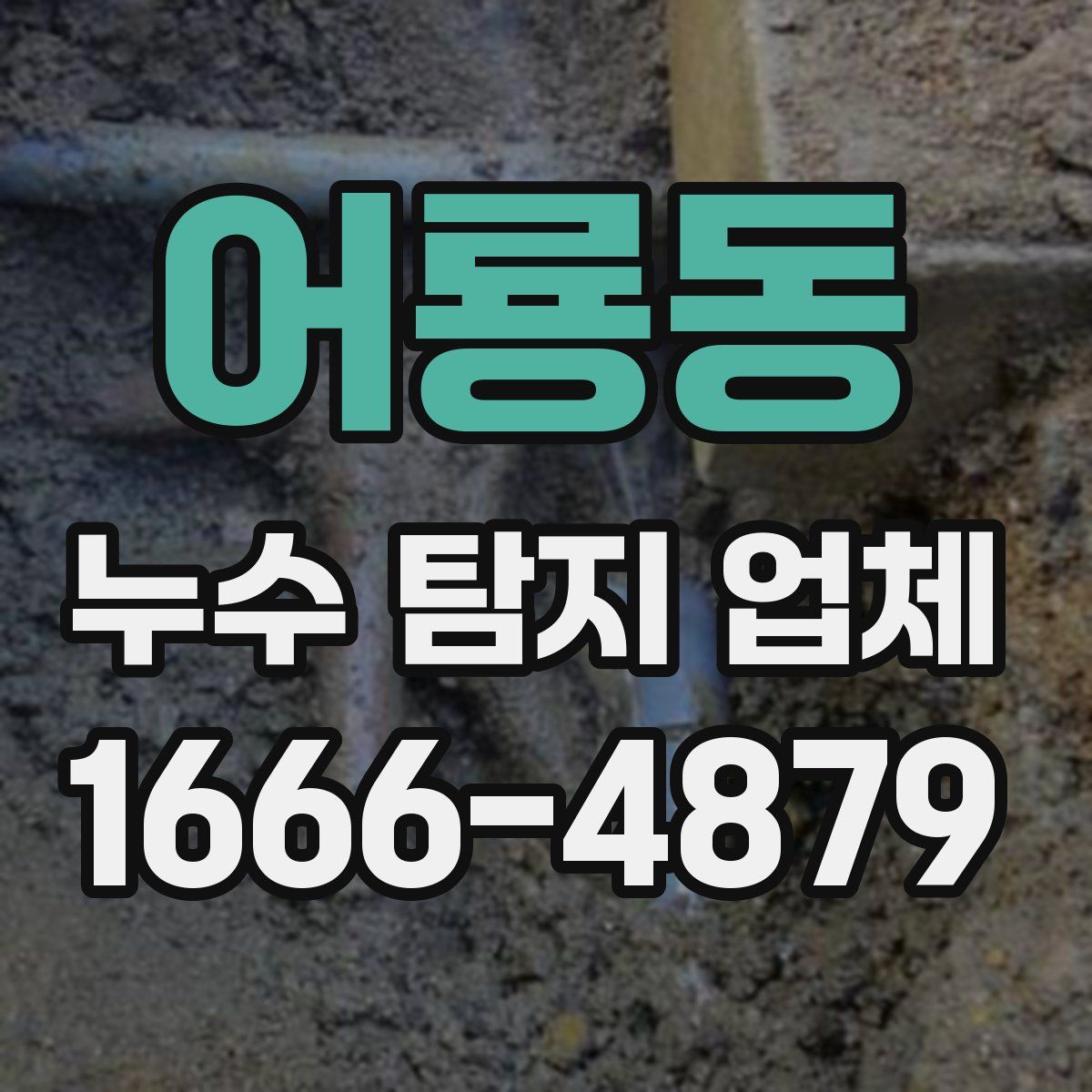 어룡동 누수 탐지 업체