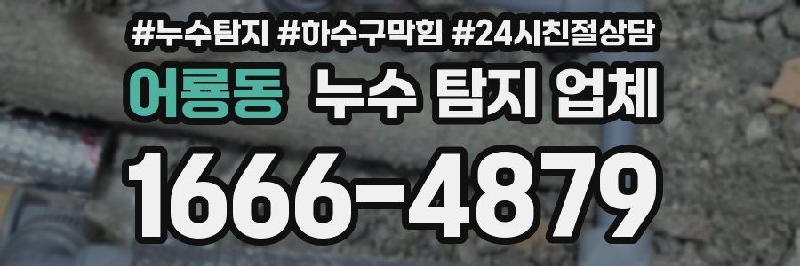 어룡동 누수 탐지 업체