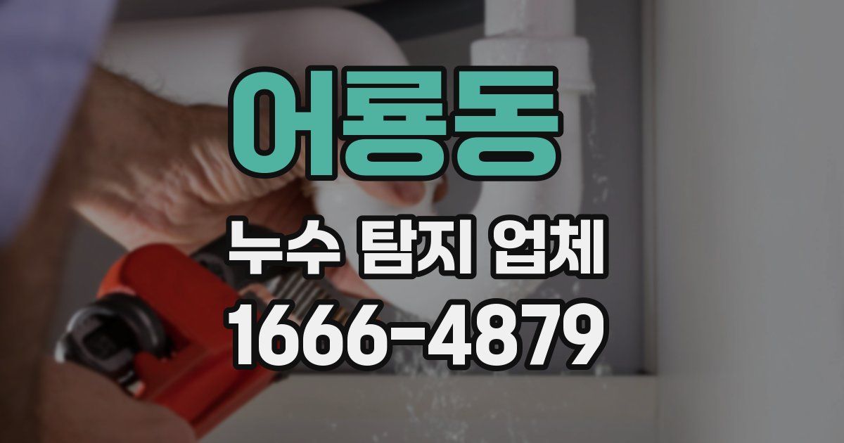 어룡동 누수 탐지 업체