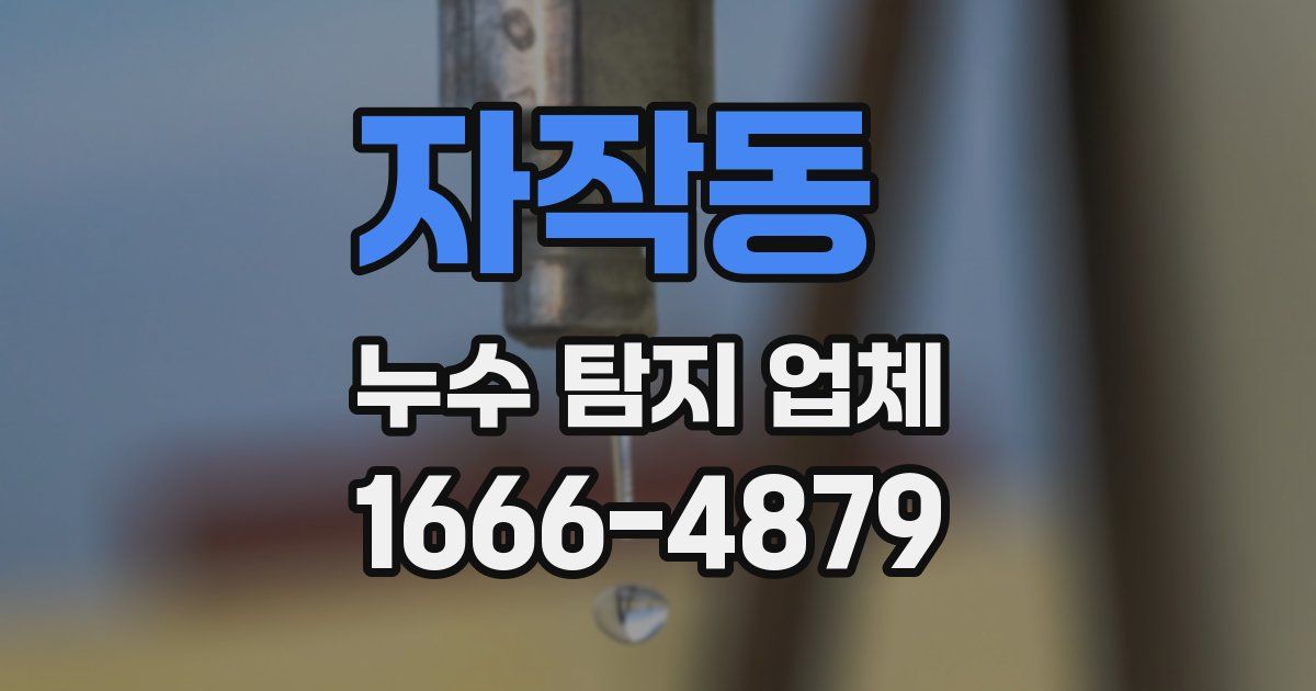 자작동 누수 탐지 업체