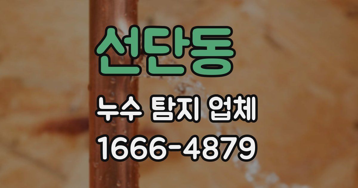 선단동 누수 탐지 업체