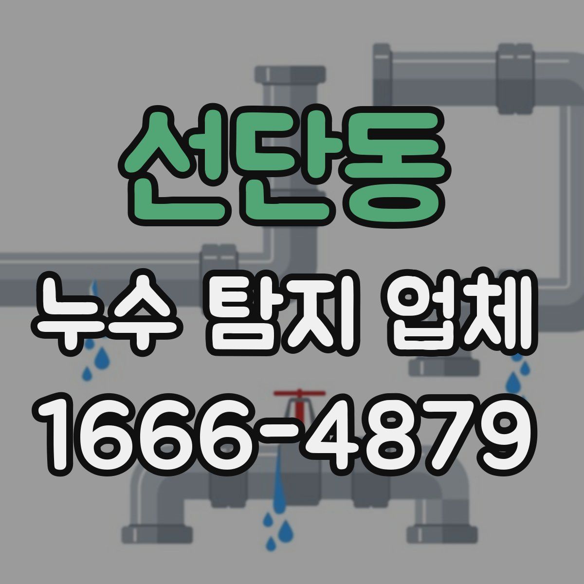선단동 누수 탐지 업체