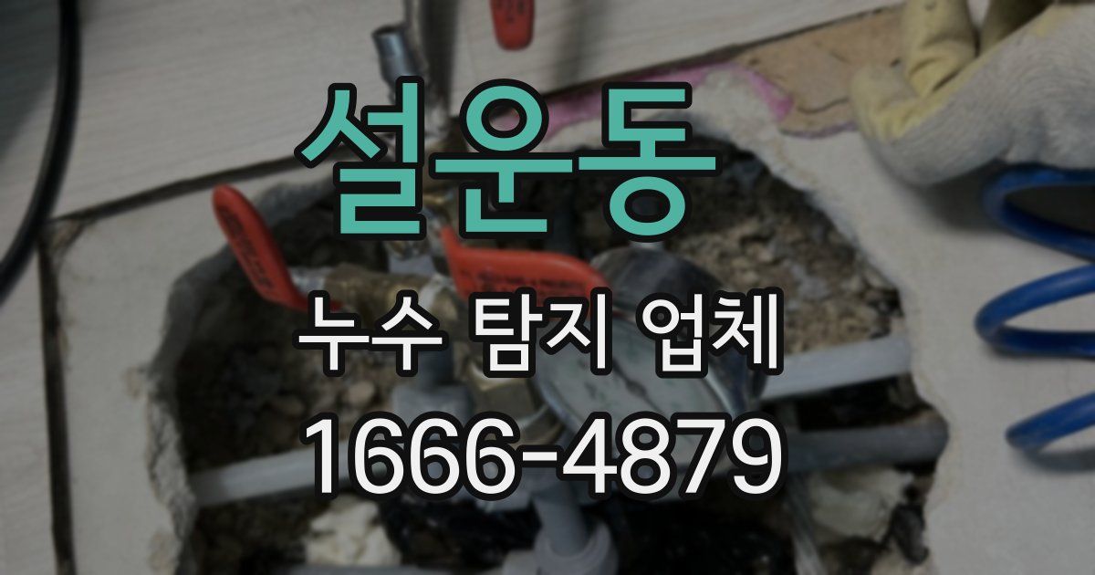 설운동 누수 탐지 업체