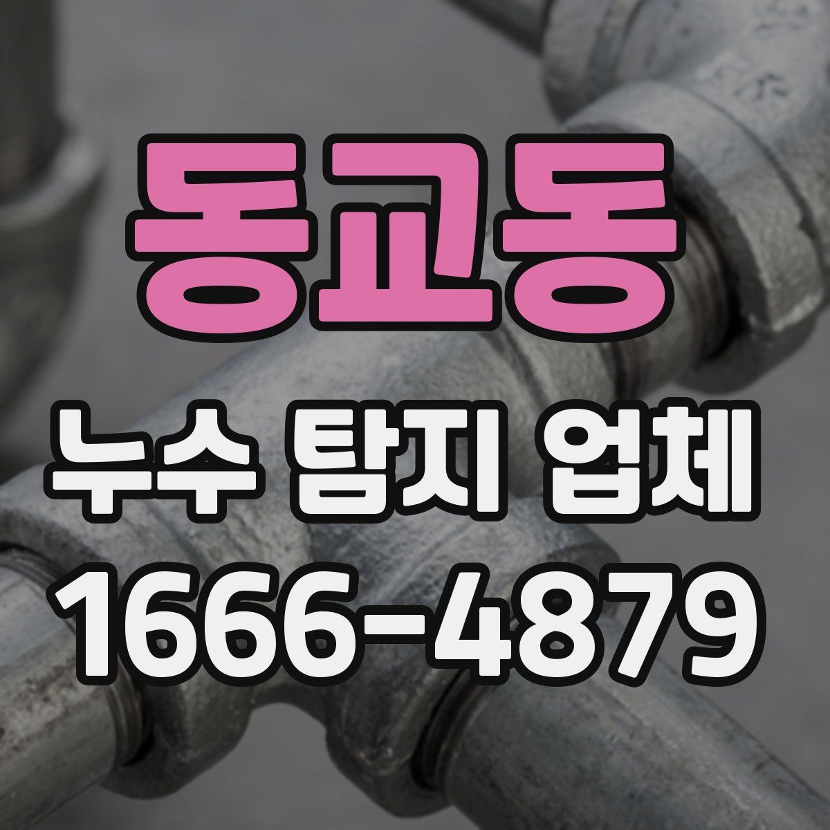 동교동 누수 탐지 업체