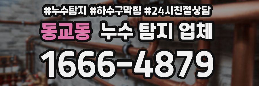 동교동 누수 탐지 업체