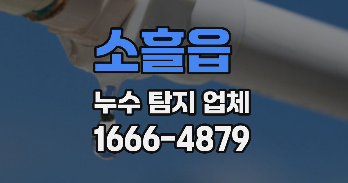 소흘읍 누수 탐지 업체