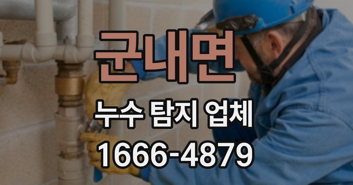 군내면 누수 탐지 업체