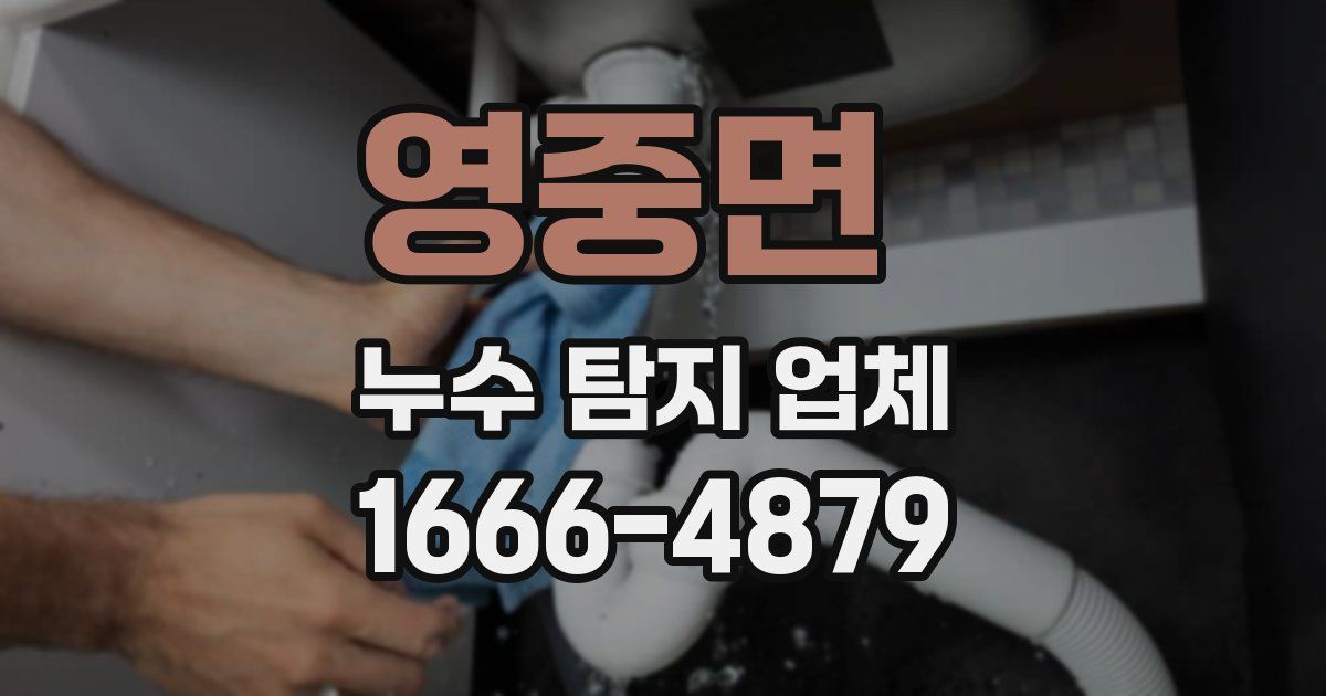 영중면 누수 탐지 업체