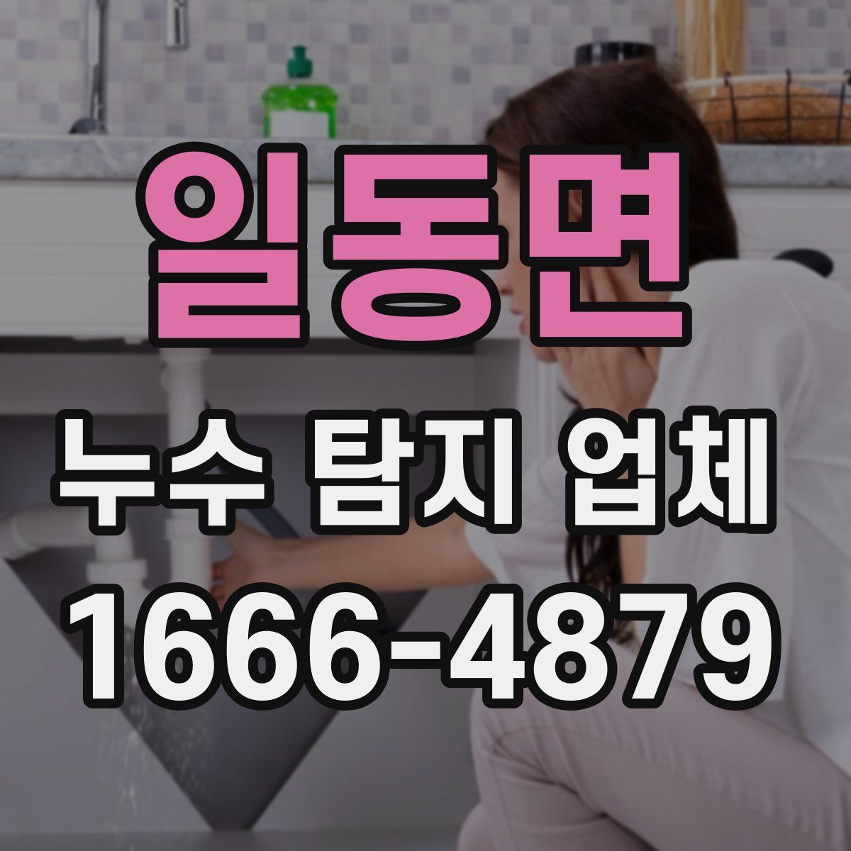 일동면 누수 탐지 업체