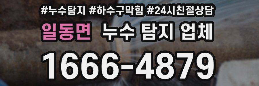 일동면 누수 탐지 업체